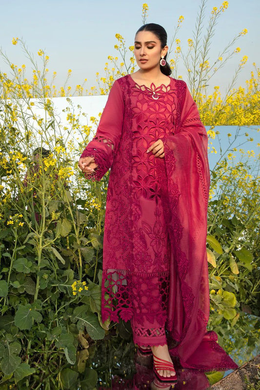 Rang Rasiya Lawn Collection