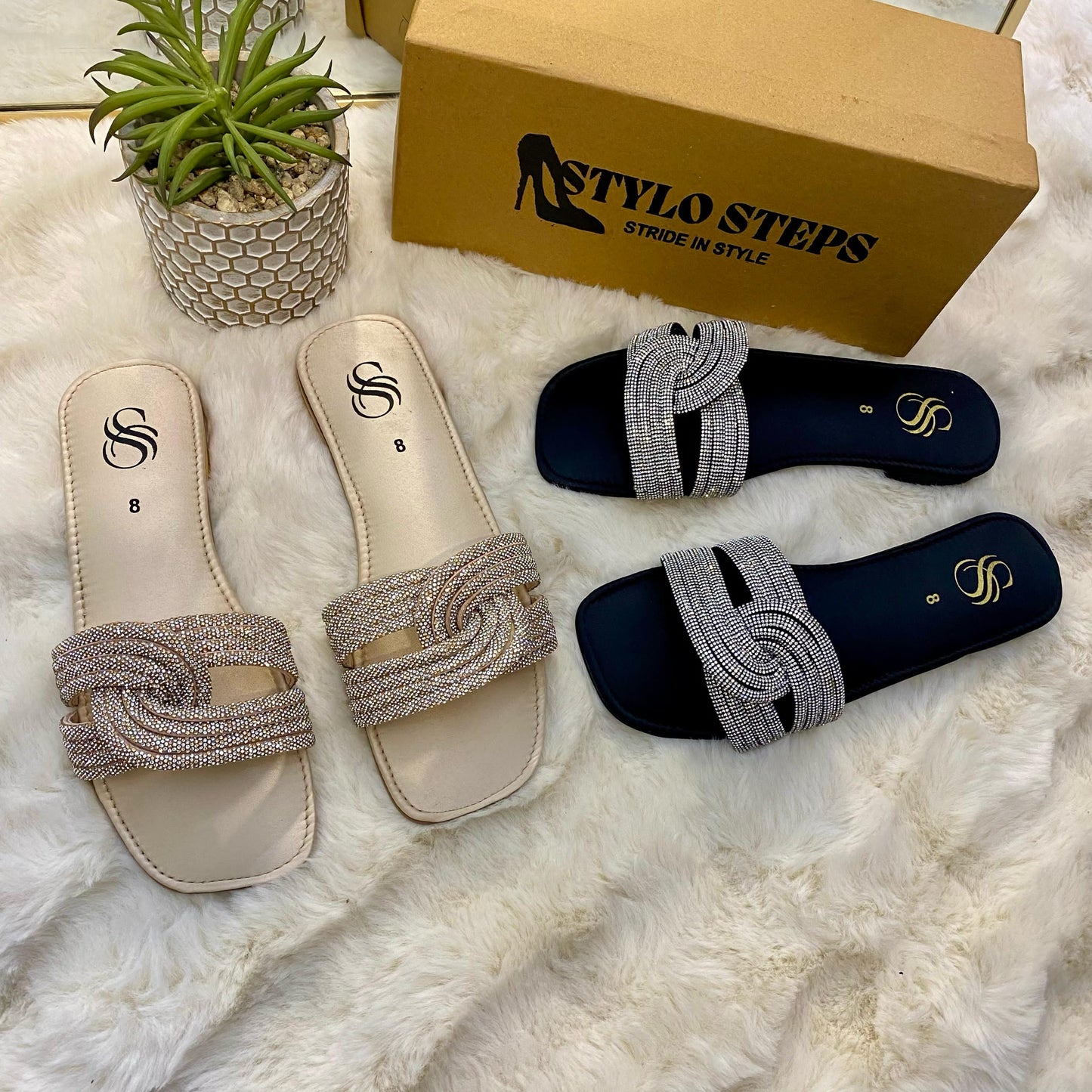 Dazzle Walk Flat