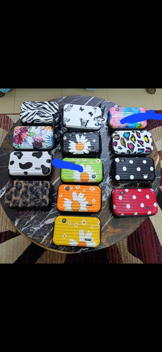 Acrylic Stylish cross body