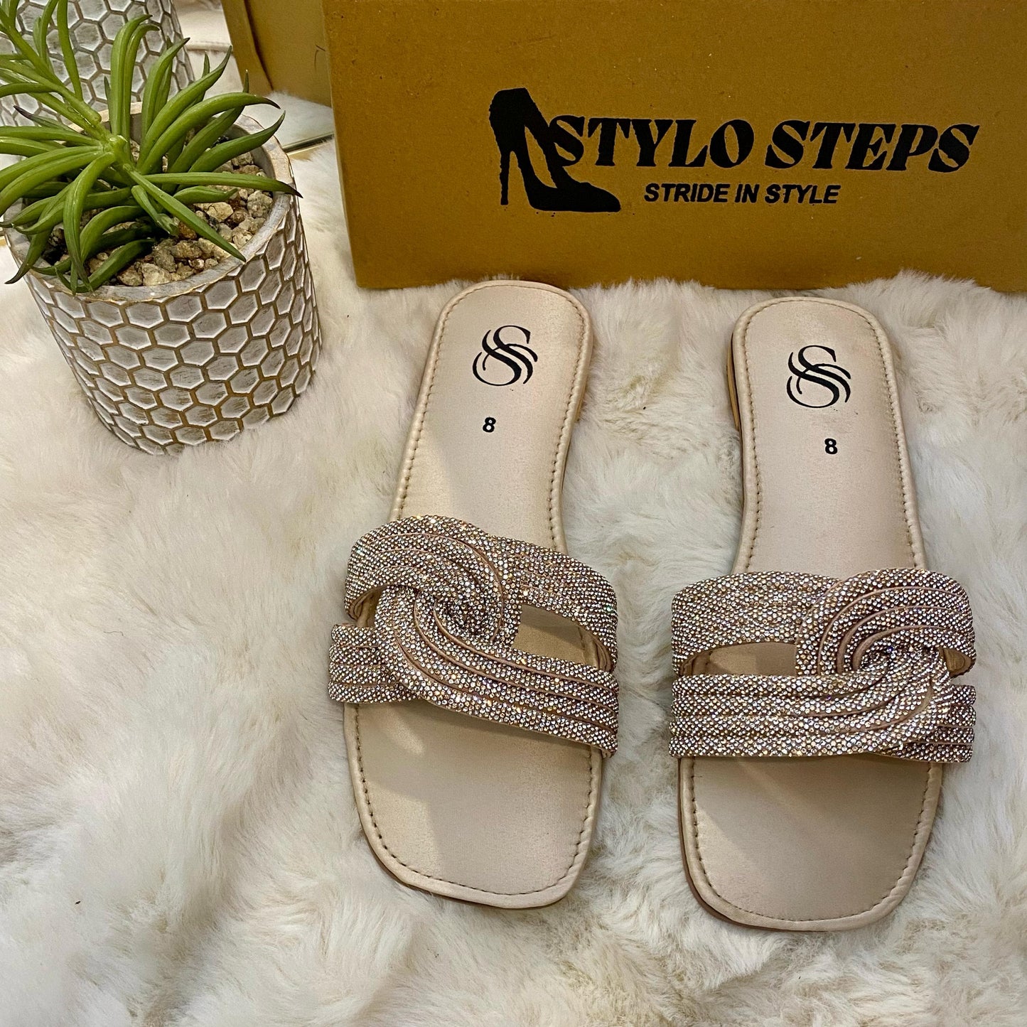 Dazzle Walk Flat