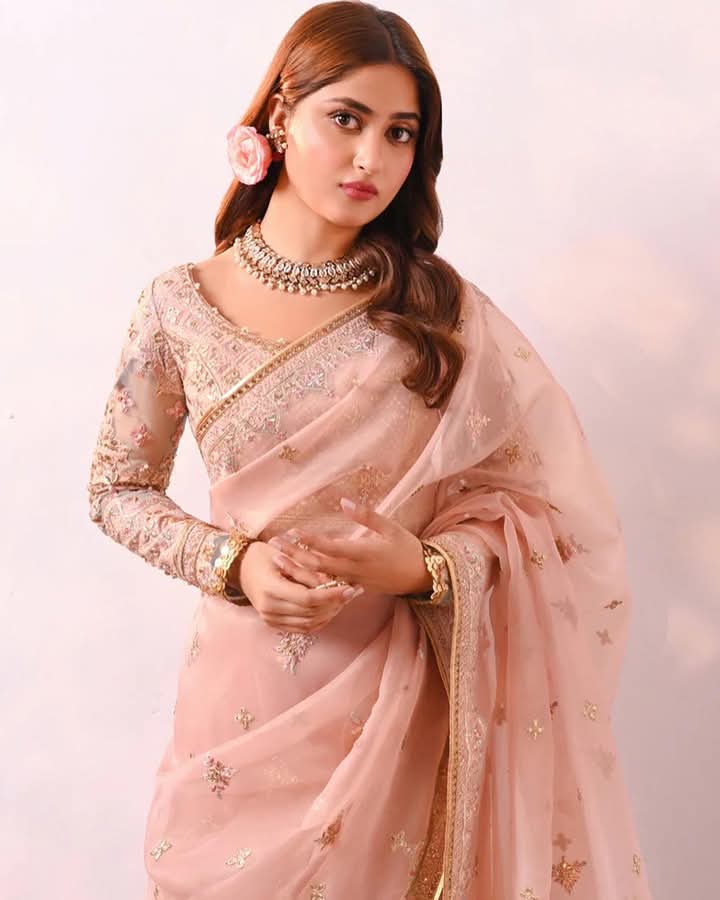 QALAMKAR Saree Wedding Edition