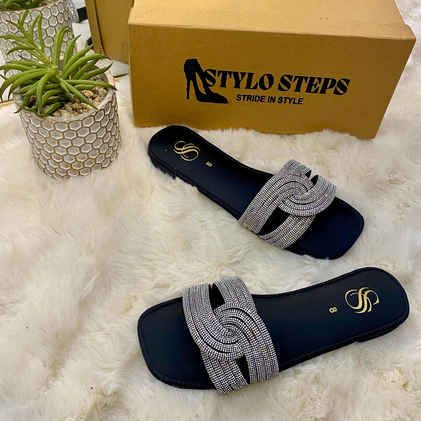 Dazzle Walk Flat