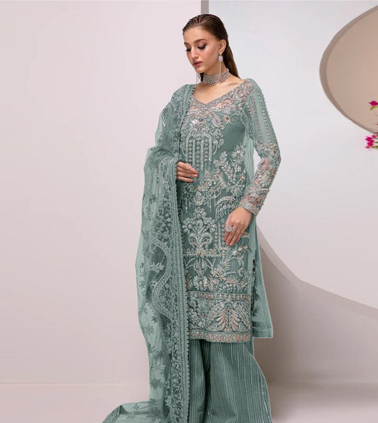 Ramsha Net Fancy Collection