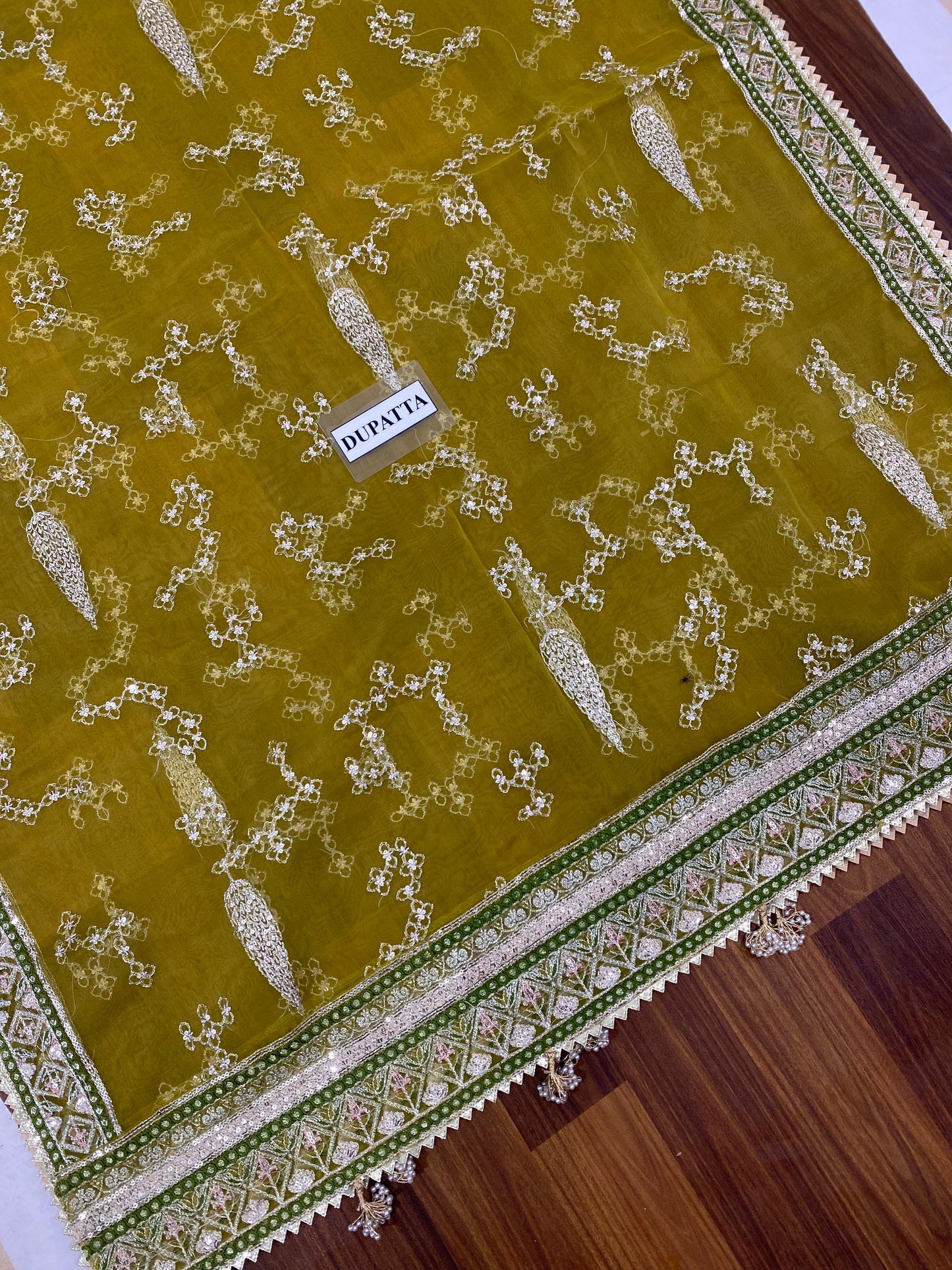 Mohsin Naveed Ranjha