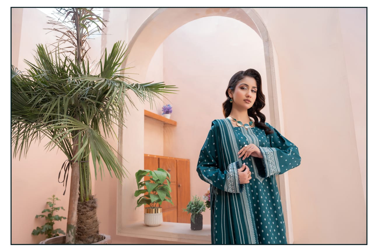 Bin Naeem DIGITAL PRINTED LAWN platinum