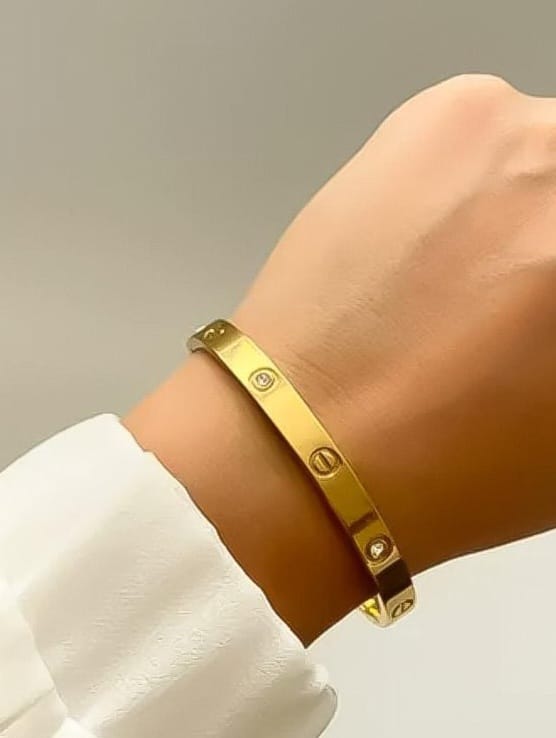 stainless steel bangles two