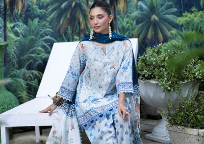 AYESHA IBRAHIM
