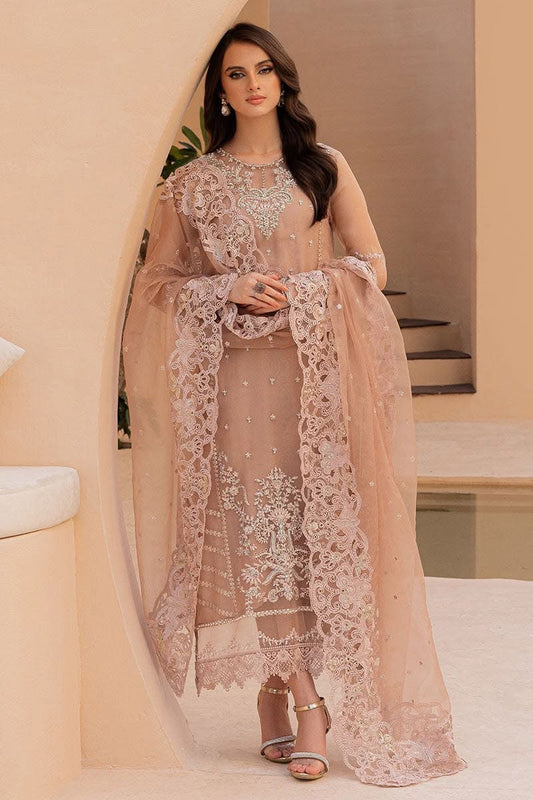 Fancy Chiffon Organza Net Mix Design