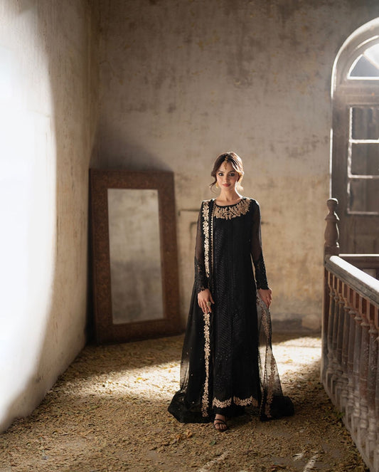 Azure Chiffon Embroidered Collection