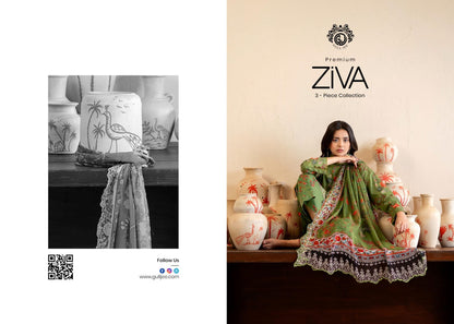 ZIVA