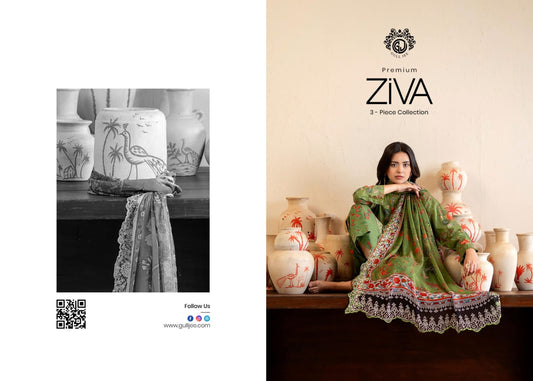 ZIVA