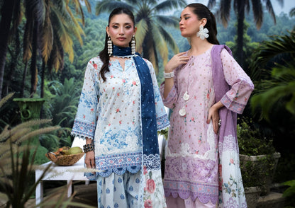 AYESHA IBRAHIM