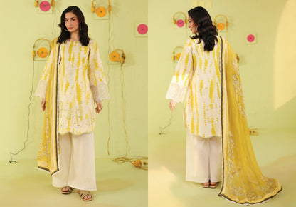 ANAYA LAWN 26