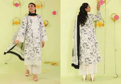 ANAYA LAWN 26