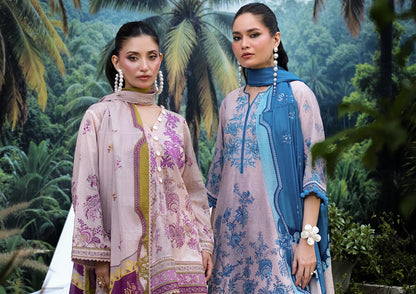 AYESHA IBRAHIM