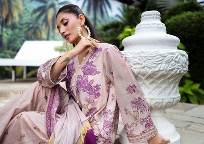 AYESHA IBRAHIM