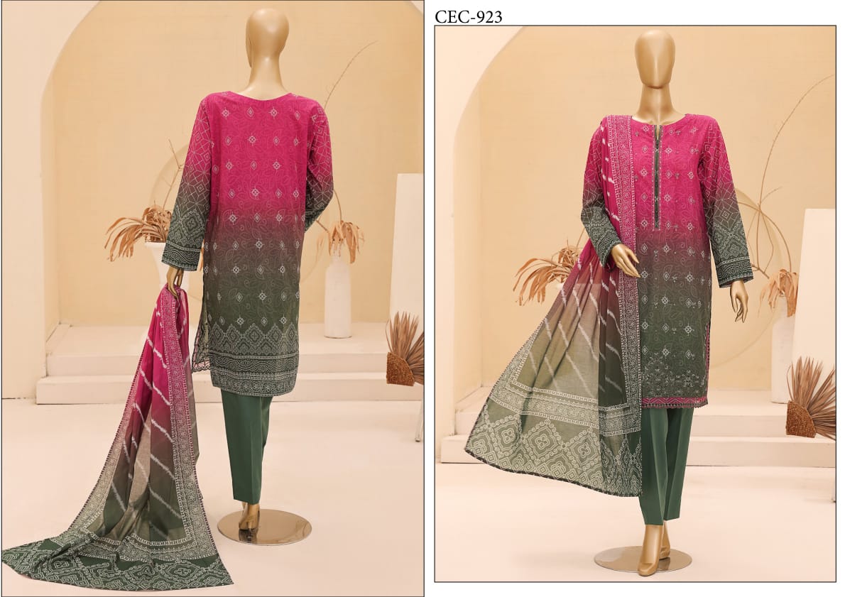 HZ Chunri Embroidered Collection