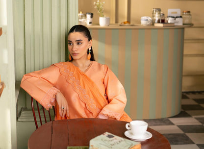 RAHA  PREMIUM CHIKANKARI