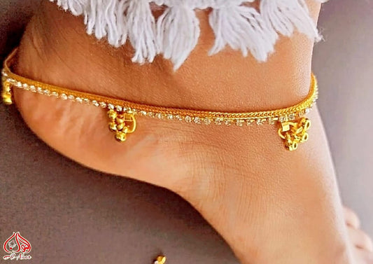 Fancy Indian pazab