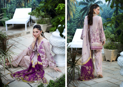 AYESHA IBRAHIM