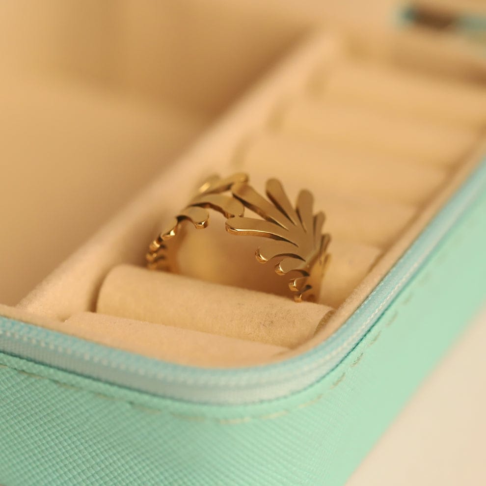 stainless steel Ring