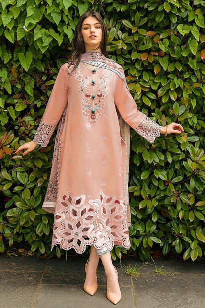 JAZMIN VELVET COLLECTION