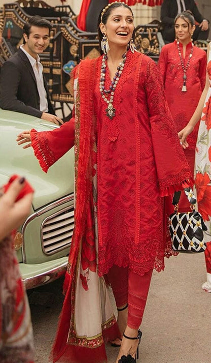 MUSHQ Luxery Lawn Collection