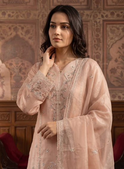 TENA Stitched Fancy Embroidered Sheesha Silk Collection