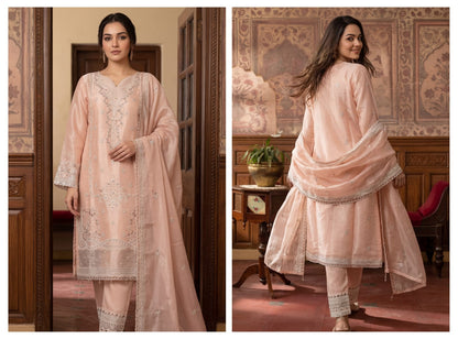 TENA Stitched Fancy Embroidered Sheesha Silk Collection