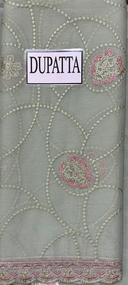 Ramsha Chiffon Collection