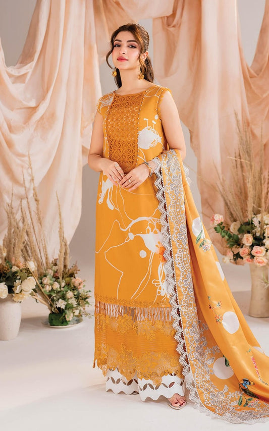 Asifa Nabeel