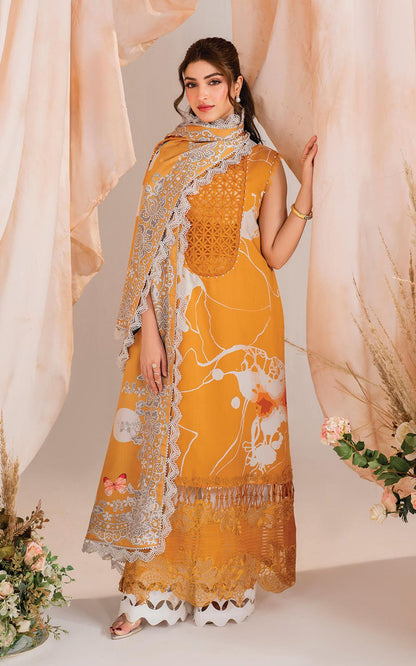 Asifa Nabeel