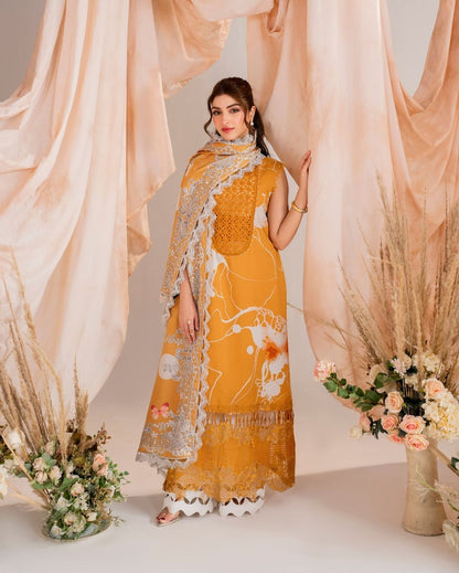 Asifa Nabeel