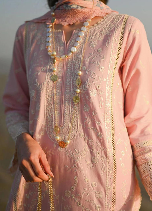 NIMSAY CHICKEN KARI LUXURY LAWN COLLECTION