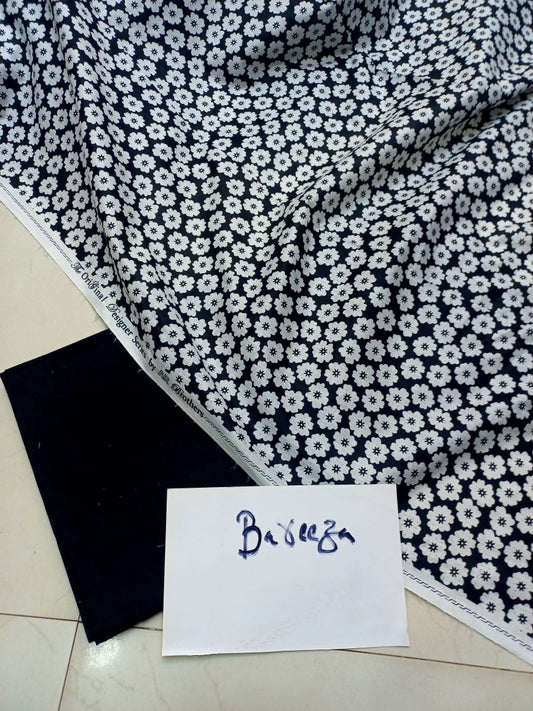 Bareeza