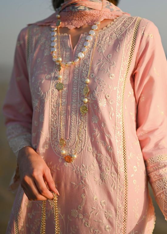 Zaib lawn Collection