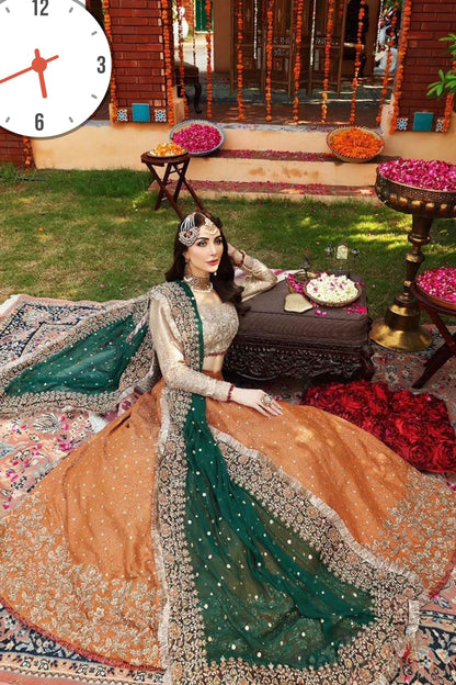 Ayesha Imran Bridal Maxi