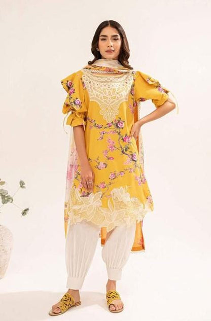 Asifa Nabeel