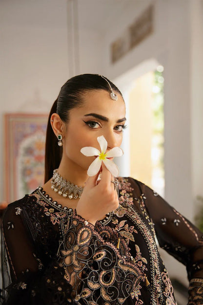 Ramsha Luxury Chiffon Collection