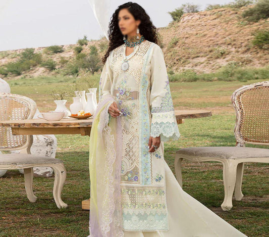 Bin Ilyas Collection
