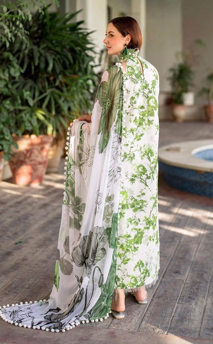 Asifa Nabeel