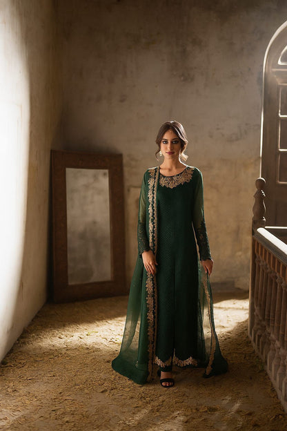 Azure Chiffon Embroidered Collection