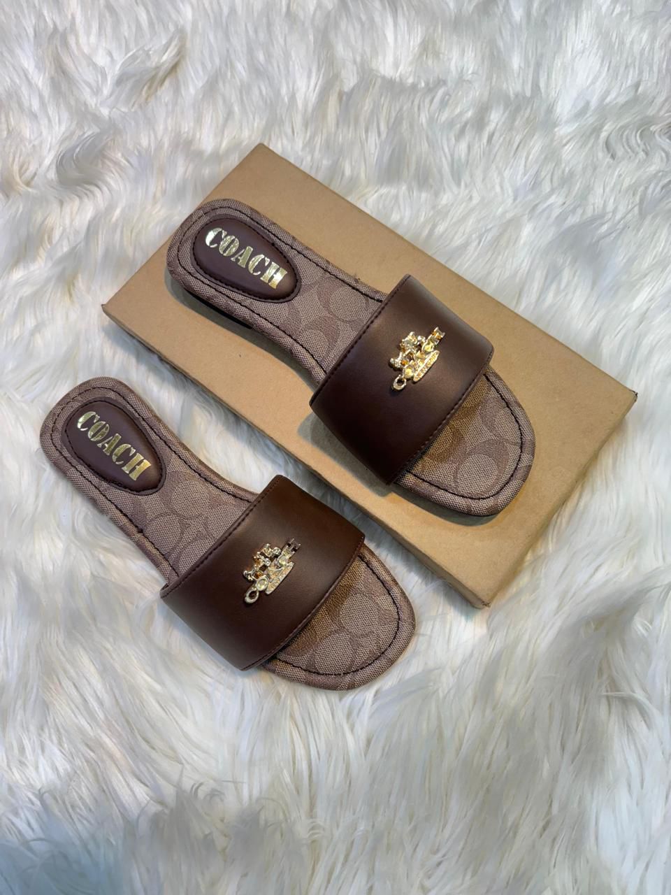 Coach flat