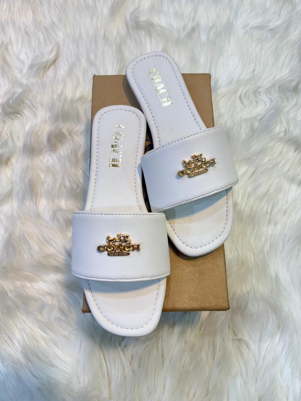 Coach flat