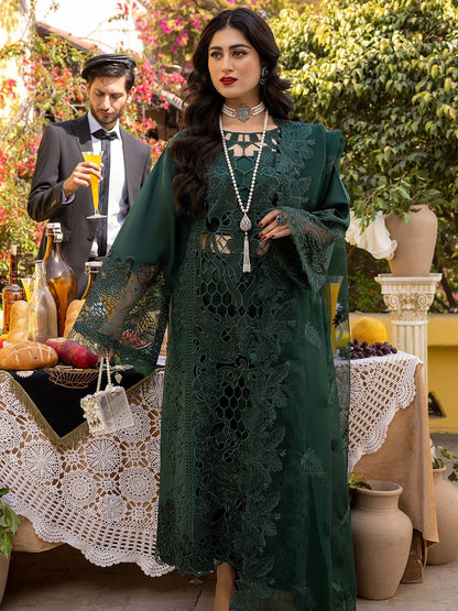 Bin Ilyas Lawn Collection