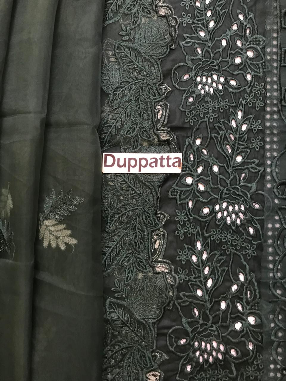 Bin Ilyas Lawn Collection