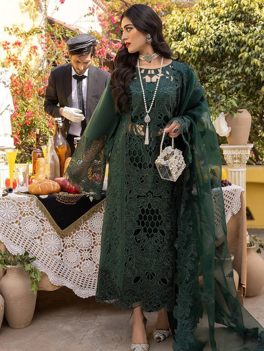 Bin Ilyas Lawn Collection