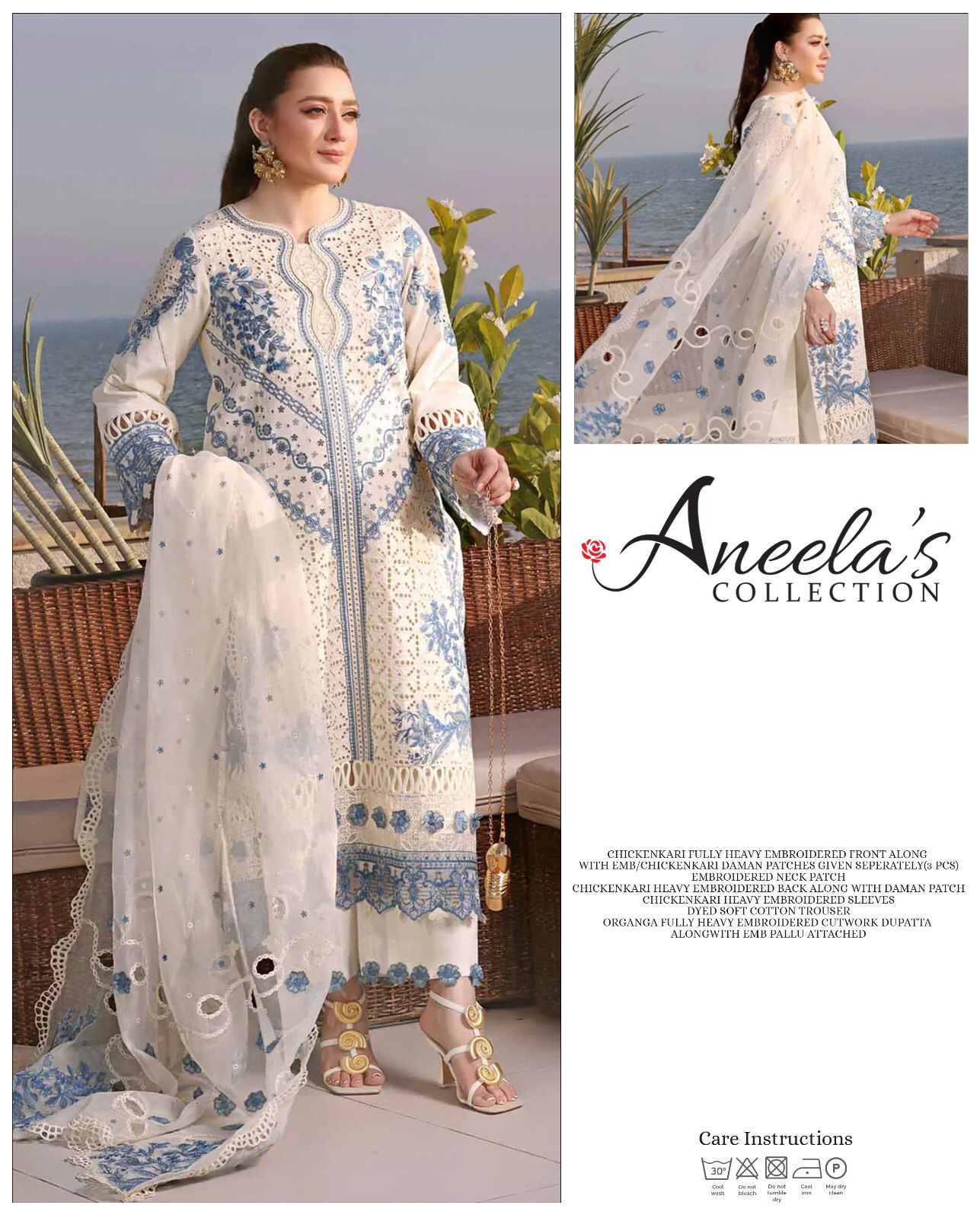 Aneela's