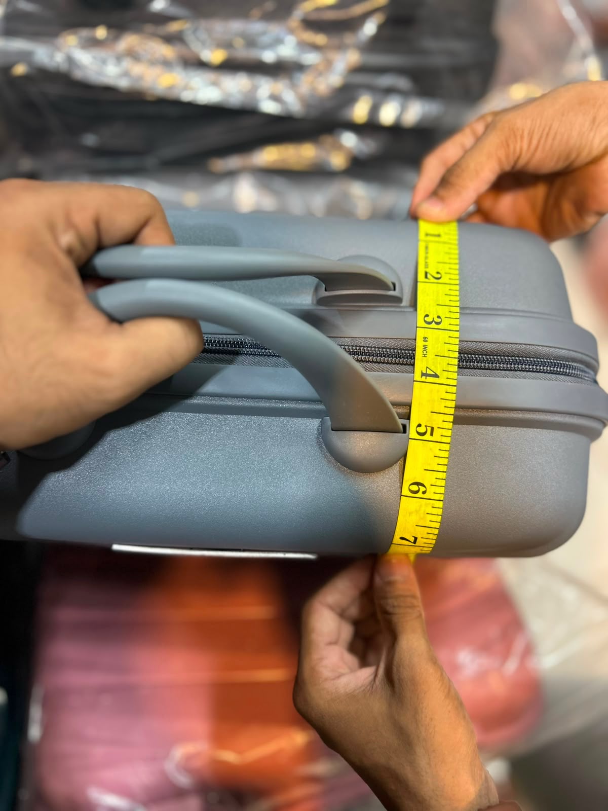 Roncato Premium  Vanity Case
