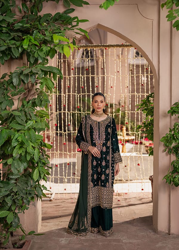 HASEENS Velvet Embroidered Winter Collection